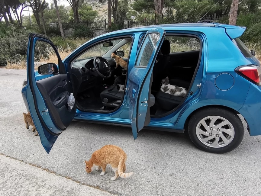 d_OsfFsMdc--nRT2qkGciQdzWZR7g6QGgRzf65j_e3go4zD2EShJ3W6S3yFXhxqV9xhEKUmRq51ClWPDepot6SS - копия.jpg