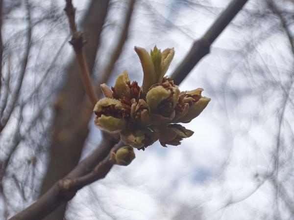 Теплая неделя в Пермском крае: антициклон принесет стабильность и рекорды