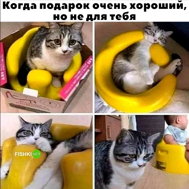 Скриншот 10-03-2026 012158.jpg