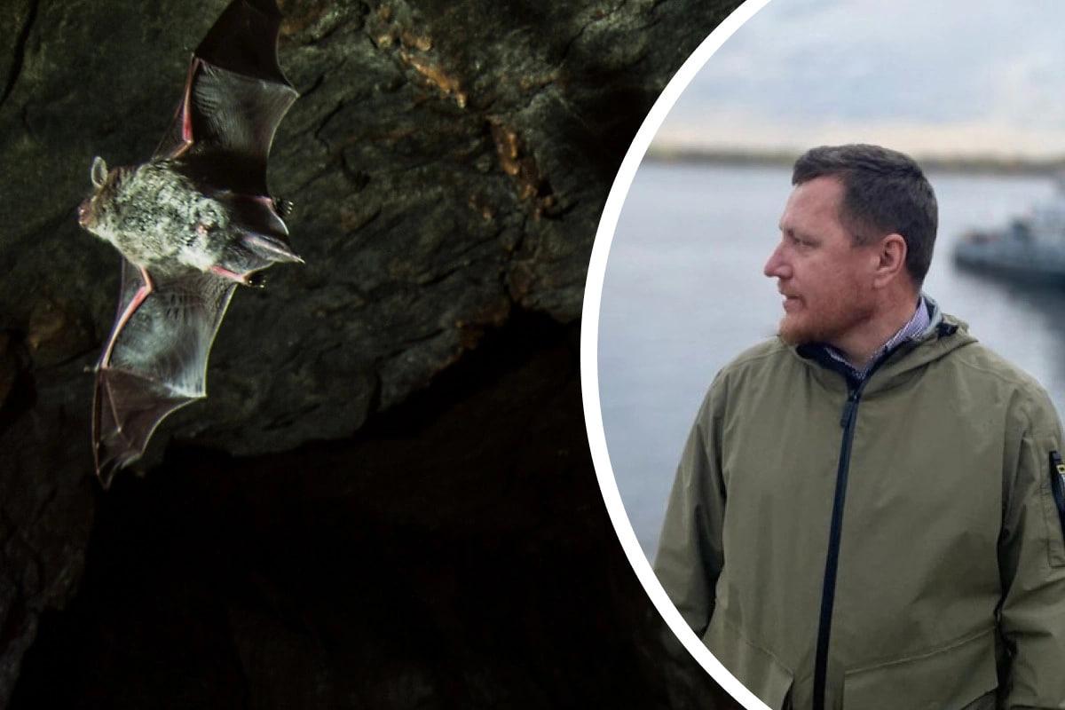 Ученые ПГНИУ изучат «пение» летучих мышей в пещерах Прикамья на президентский грант