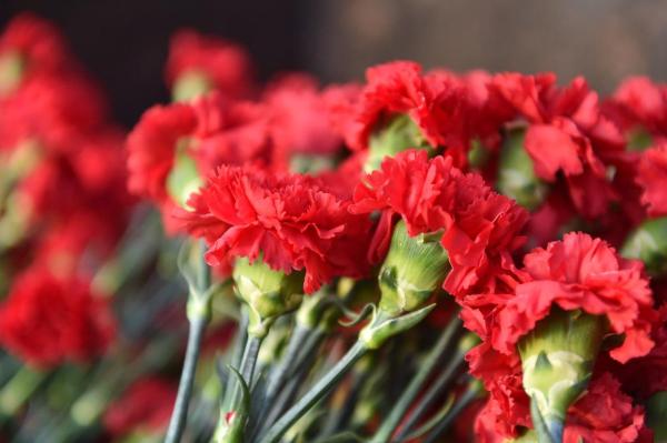 В Перми ушла из жизни экс-депутат Госдумы Валентина Савостьянова