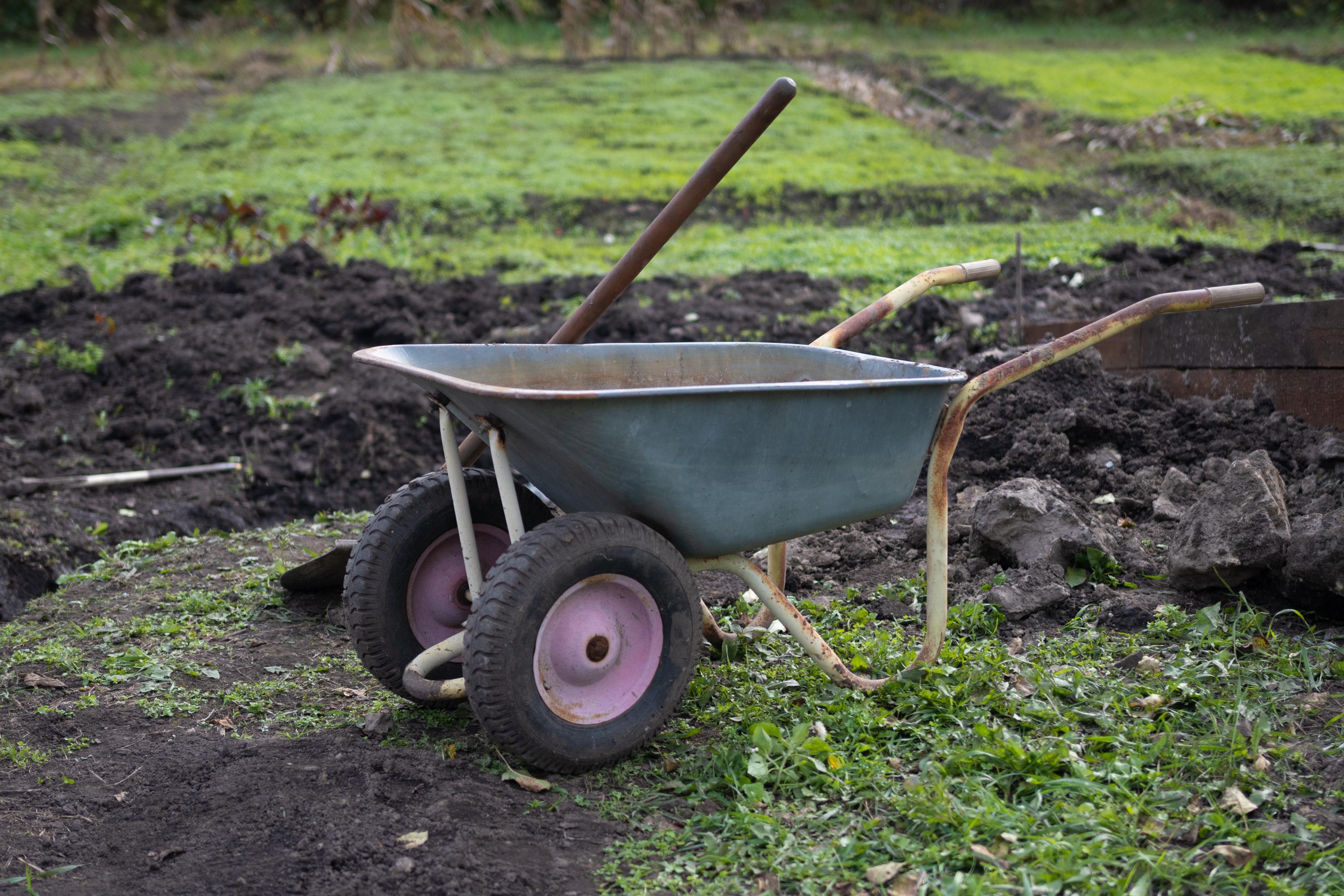 Уголовные сроки и крупные штрафы: новые правила для пермских дачников в 2026 году