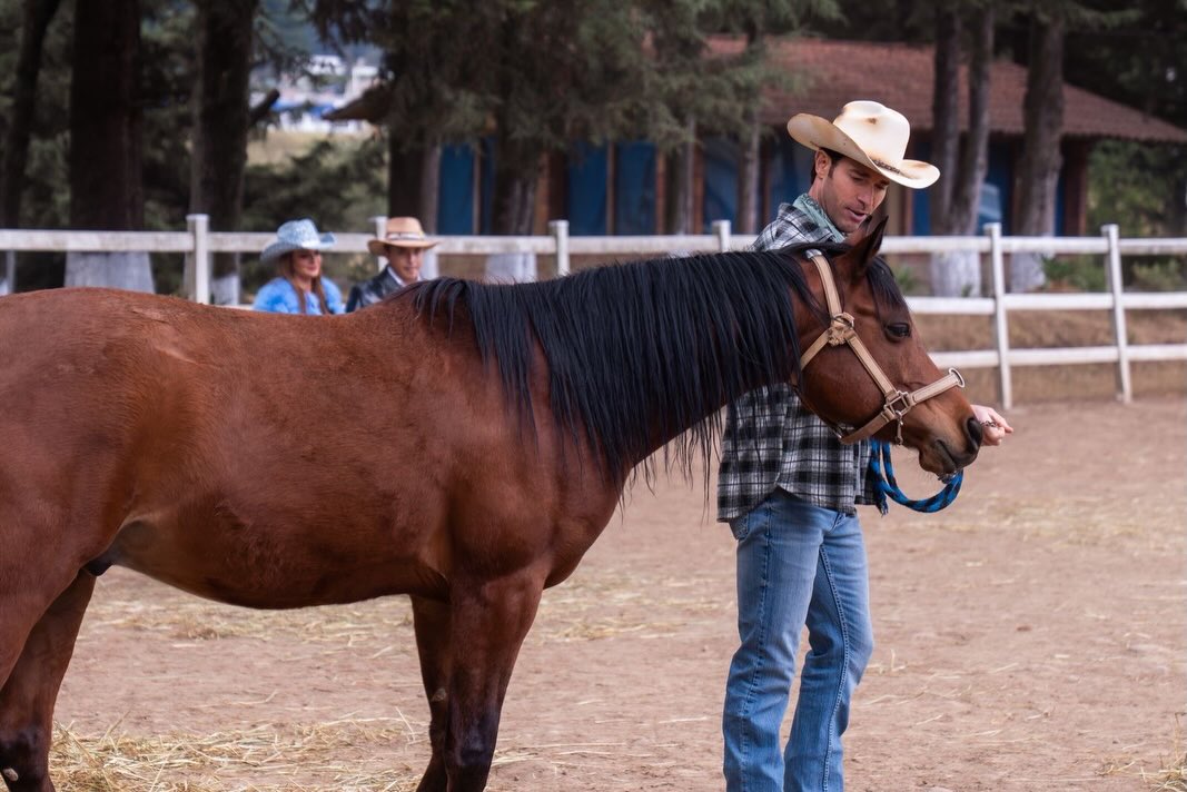 sebastianrulli_1776283476591.jpg