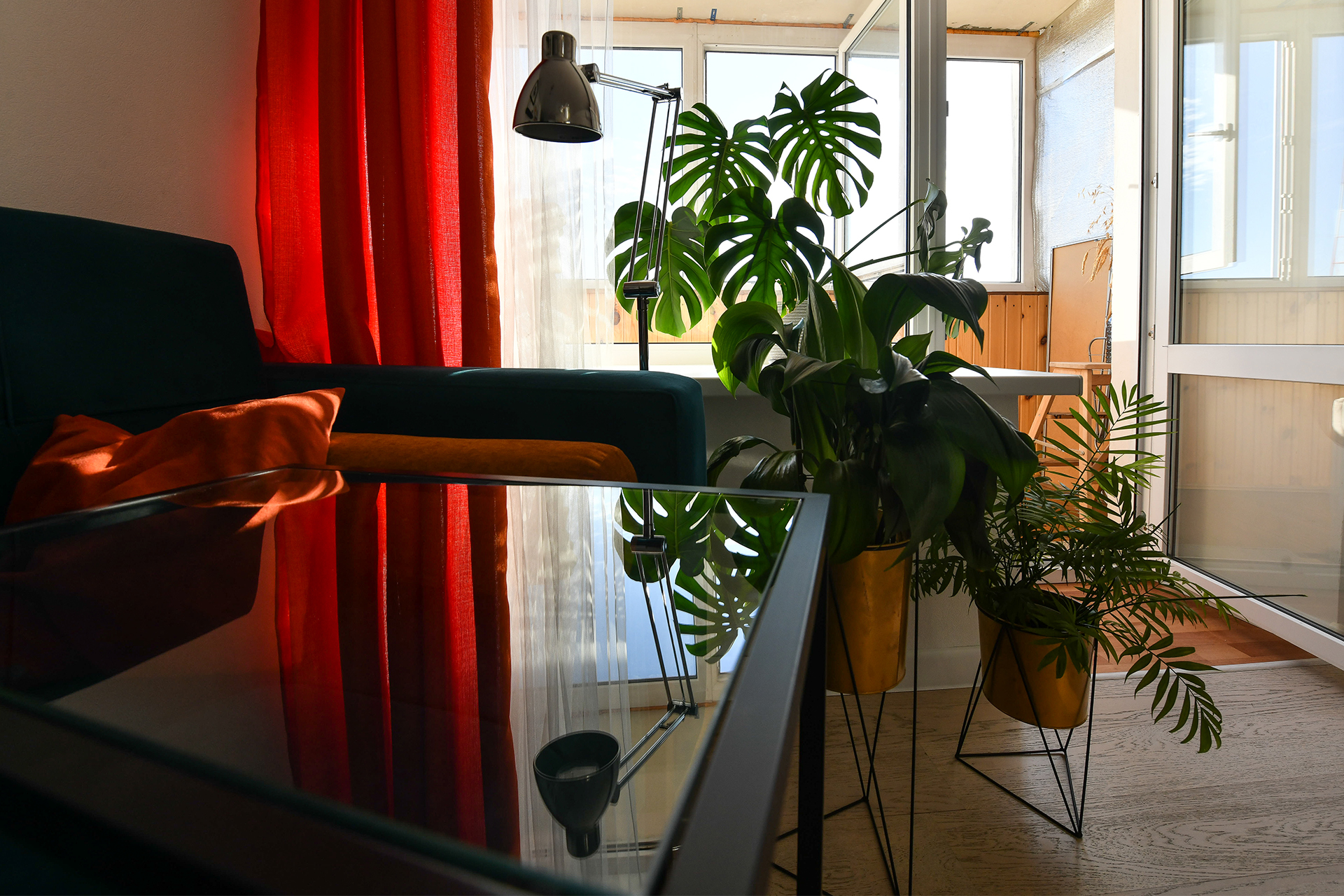 Топ-5 модных комнатных цветов весны: советы по уходу и фото