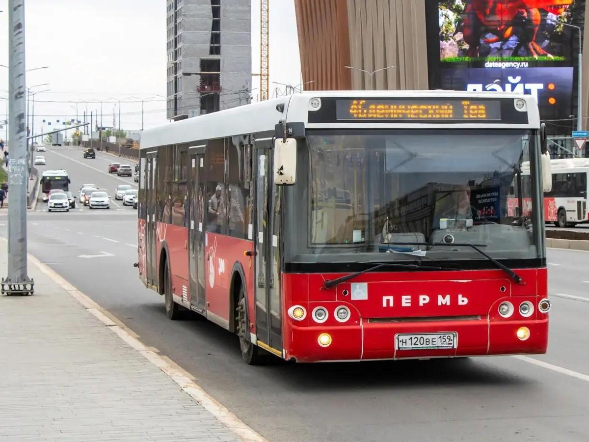 В Перми запустят два новых автобусных маршрута для дачников