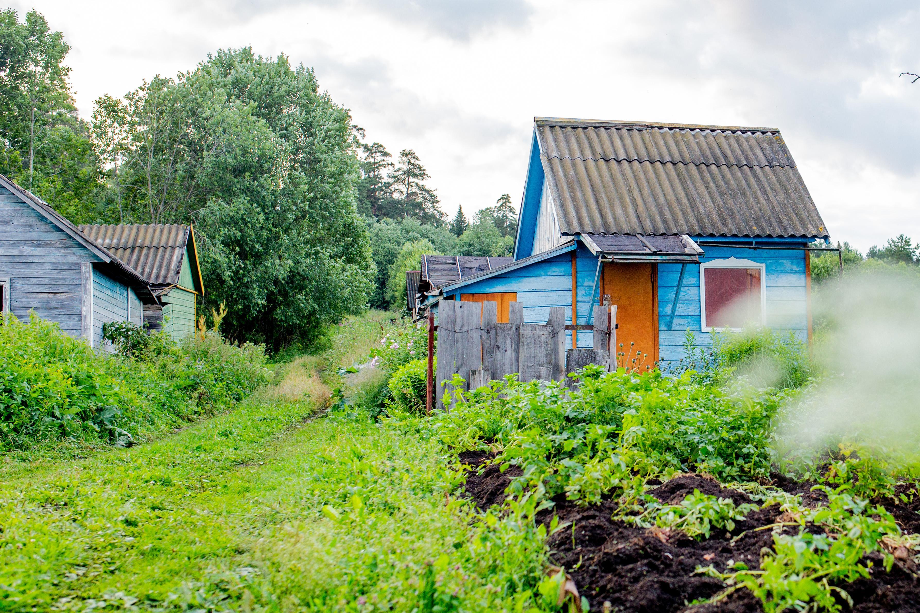 Мошенничество среди дачников: как избежать подделок штрафов
