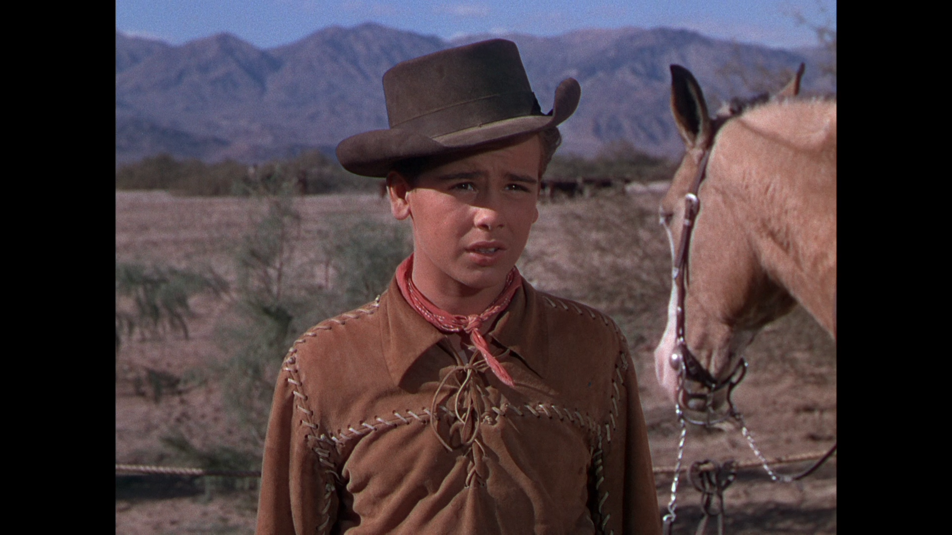 Cattle.Drive.1951.BDRemux.1080p.mkv_snapshot_00.49.38.939.png