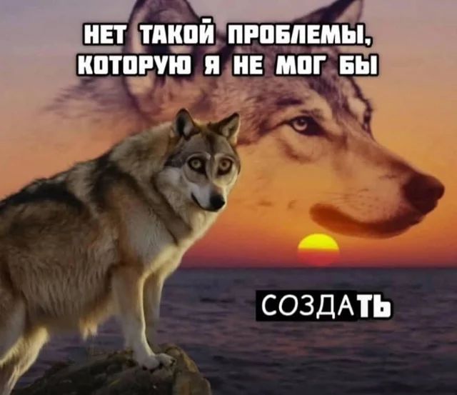 https://i5.imageban.ru/out/2026/04/27/853aaf205c4afee8164d60cf22dc7a20.jpg