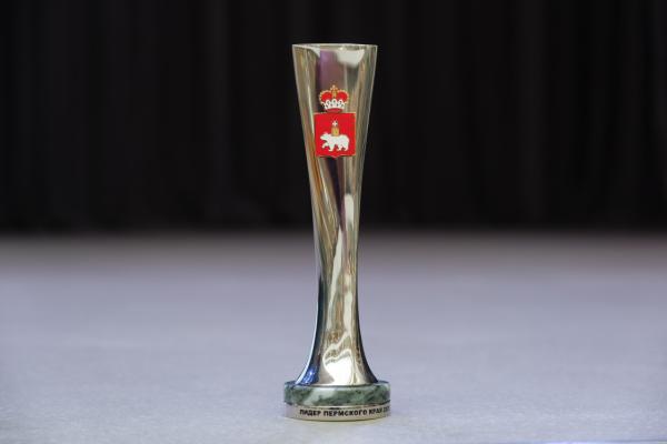 Определены финалисты конкурса «Лидер Пермского края» в двух номинациях