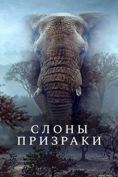 Cover.jpg