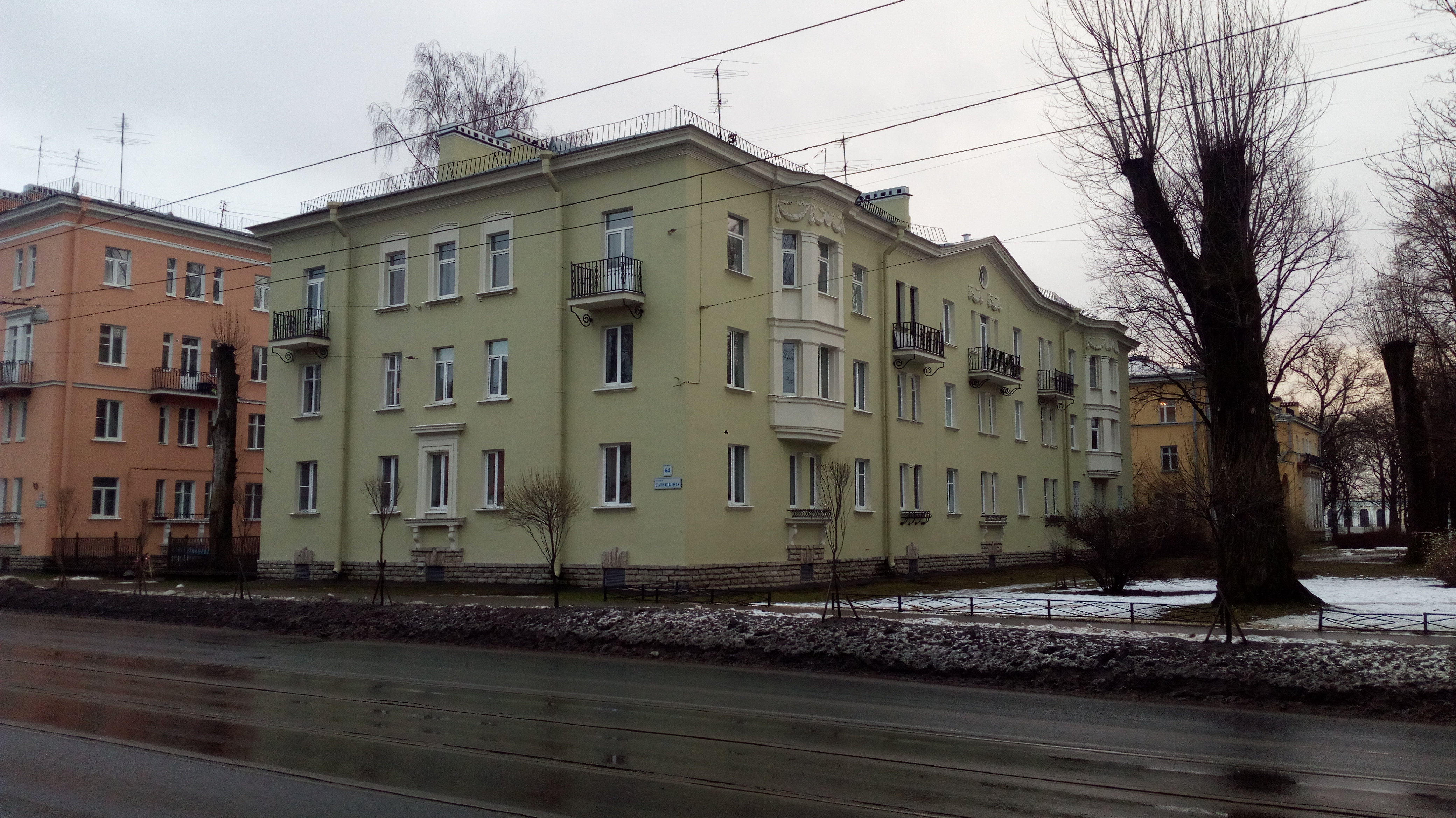 Савушкина 64_2.jpg