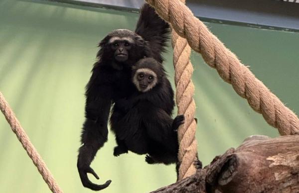 Пермский зоопарк переходит на летнее расписание с 1 мая