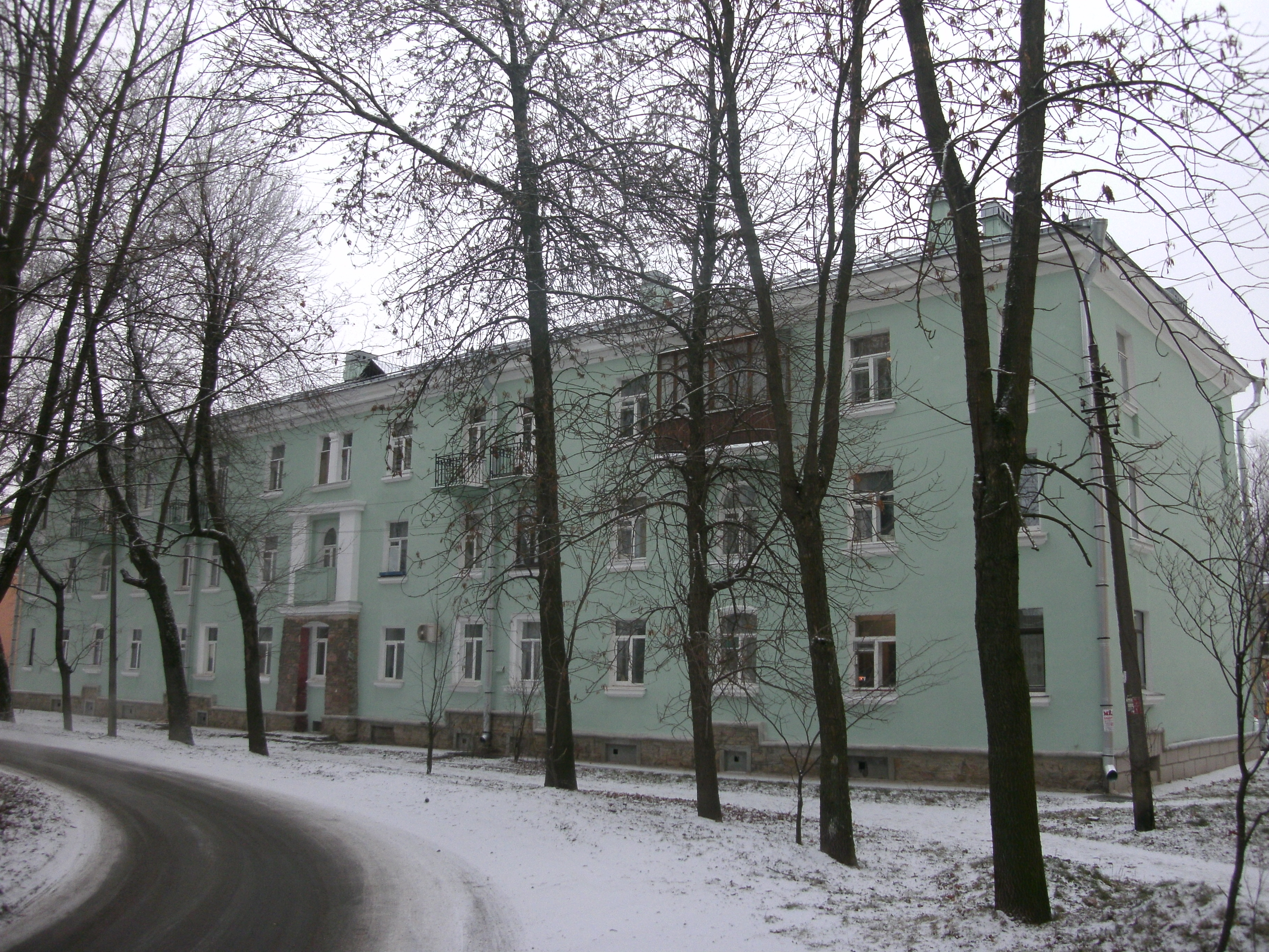 Металлострой, Пушкинская 4_2.JPG