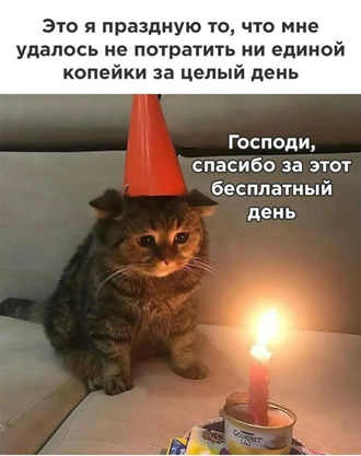 https://i5.imageban.ru/out/2026/05/01/70dfe9418db8d554fdf5871987400cc3.png