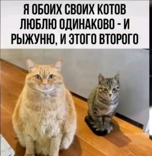 изображение_2026-05-02_135020291.png