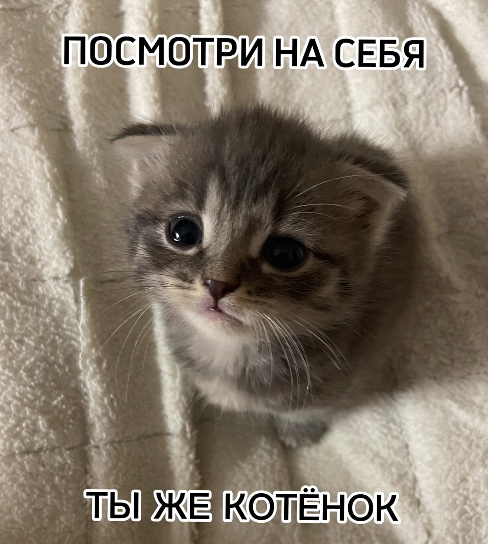 K1C2iqpdEcSNmFoM6FdGNIsIkkQRzcZwLTPvuRjyFT5zbxTYxmqYmP12twwIvGEFE6AO2epa1uYbHyGIvvH3NADt.jpg