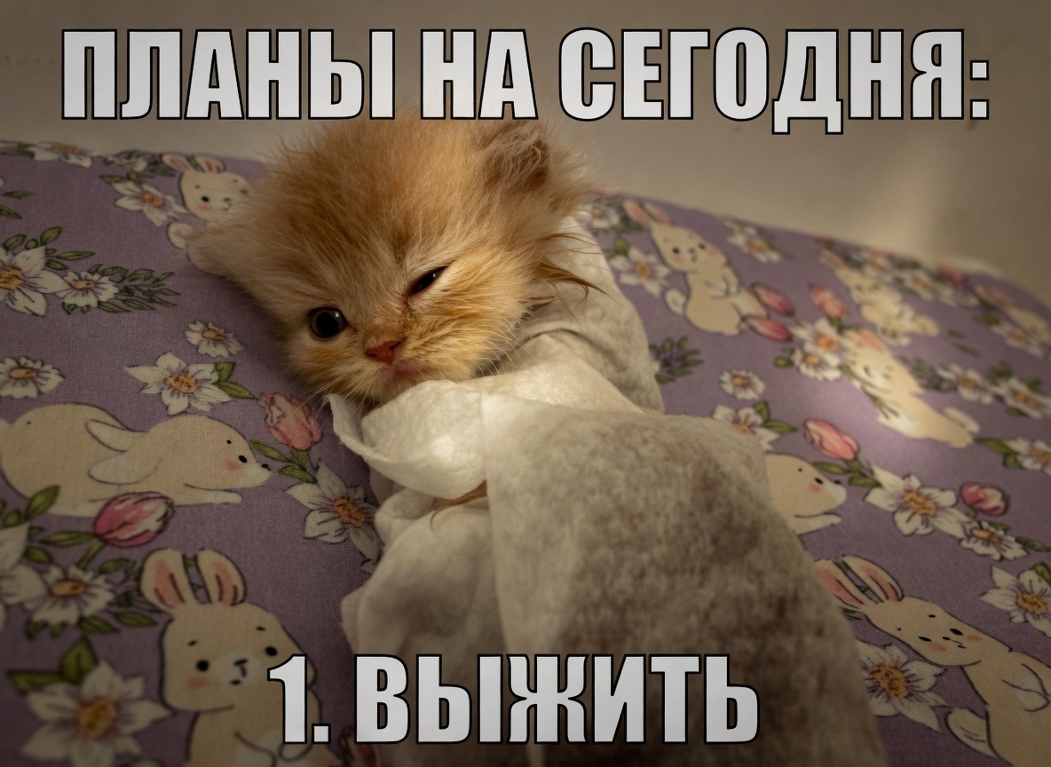 uPf5NLh4Trn3rtL3NgYYg3xeRv1C0mZsl8zR-Hk5na2hHAje0rjiCKU5qvz4B4L-d7KZeTck5B7DObqw4k8T6IrF.jpg