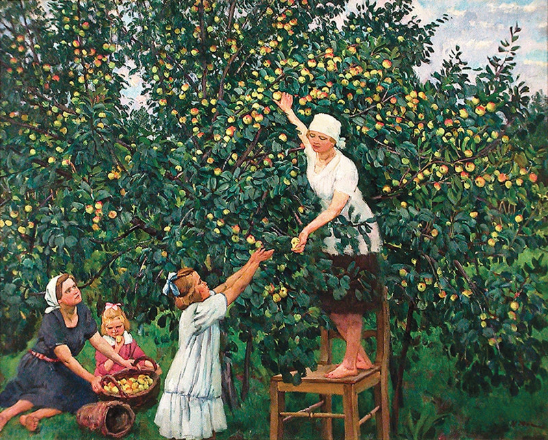Сбор яблок. первая половина XX в.jpg
