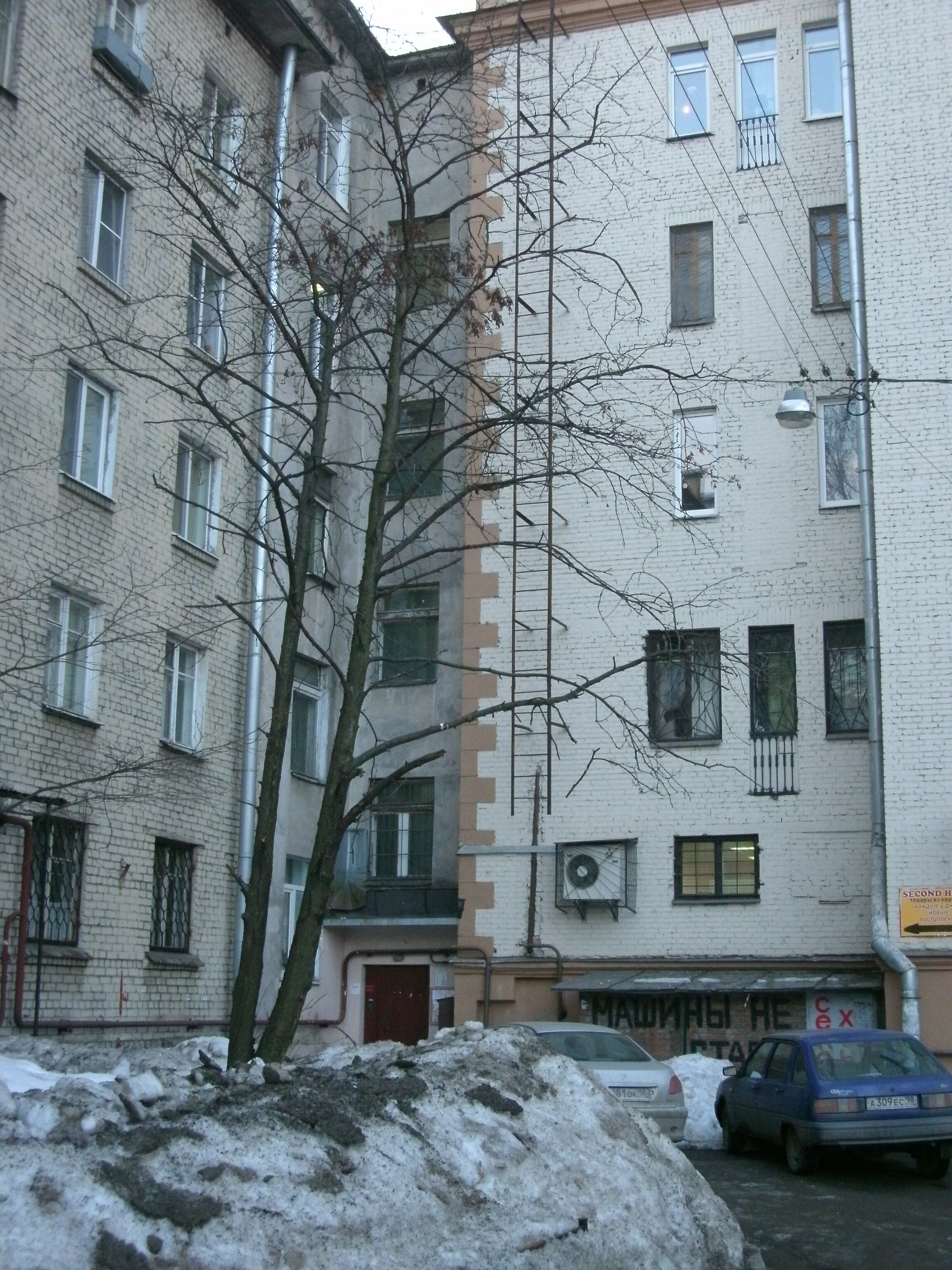 Кондратьевский 41_2.JPG
