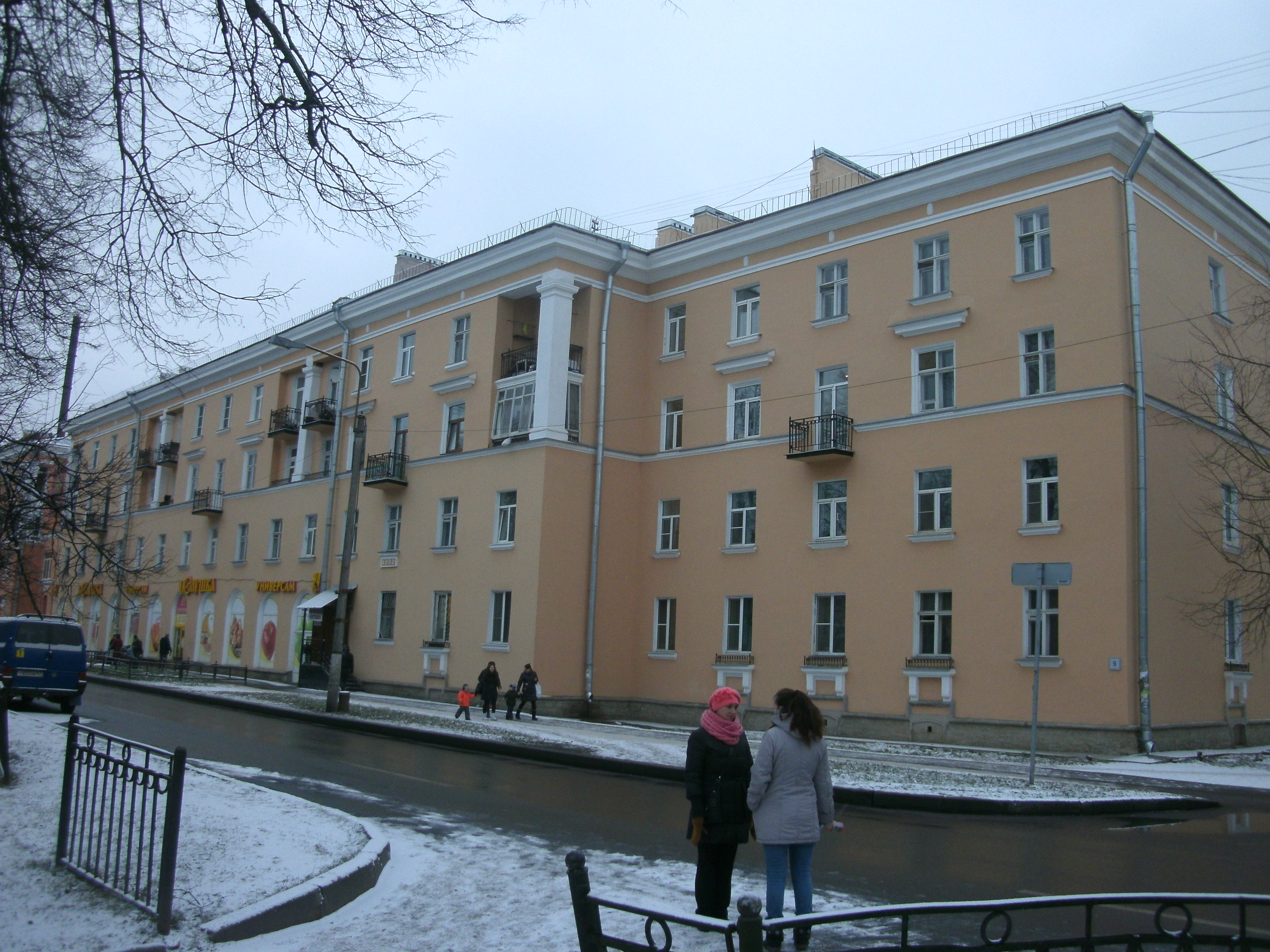 Металлострой, Центральная 9_2.JPG