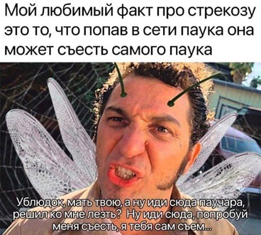 https://i5.imageban.ru/out/2026/05/09/1651f83d7d6755df96c7e54e473fbaf6.jpg