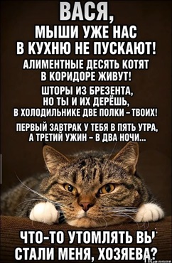 https://i5.imageban.ru/out/2026/05/09/9f31f92a107ed636707df1bb174be6e7.jpg