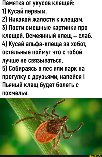 https://i5.imageban.ru/out/2026/05/10/7b38a5493ba11bd6465b8e9fc101fc6e.png