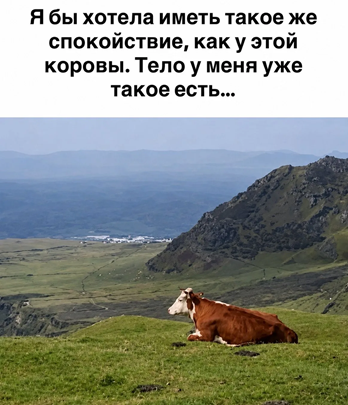 https://i5.imageban.ru/out/2026/05/12/10a236200ccba102c3a300d22a2e5015.png