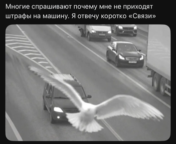 https://i5.imageban.ru/out/2026/05/12/5fdaecffcdcf71106dc2908cada22cee.png