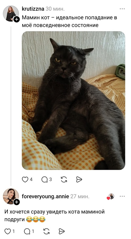 https://i5.imageban.ru/out/2026/05/15/8e0820d0c42241839969ac652a2a9202.jpg