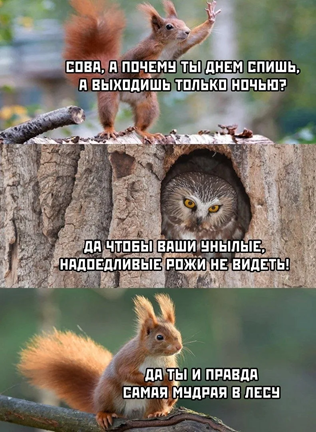 https://i5.imageban.ru/out/2026/05/17/604286bcd044a7062709e9ab6a58b06d.png