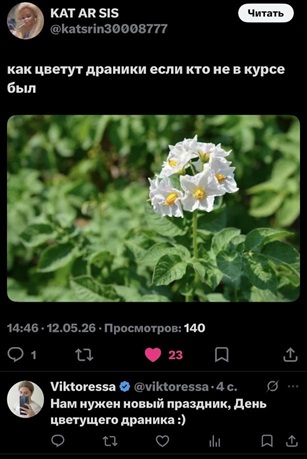 https://i5.imageban.ru/out/2026/05/17/e3ff3844456669ce5201b33849f8123f.jpg