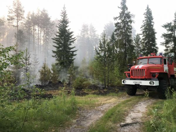 Лесной пожар в Соликамске потушен сотрудниками лесничества и арендатора