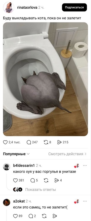 https://i5.imageban.ru/out/2026/05/21/3d5f1be6155a87e0dbacccad24fa2c2d.jpg