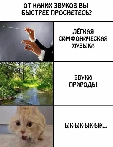 https://i5.imageban.ru/out/2026/05/22/8692729af4ef86f05a5f9f2826998aac.png