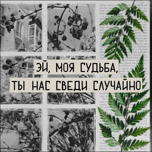https://i5.imageban.ru/out/2026/05/25/94cc9aba571bc90ad0c81688c3b7c4b3.png