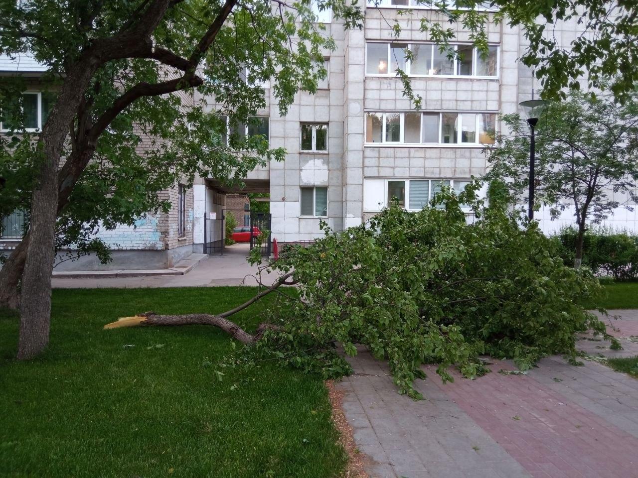 Ураган в Чайковском: последствия для жителей и инфраструктуры региона