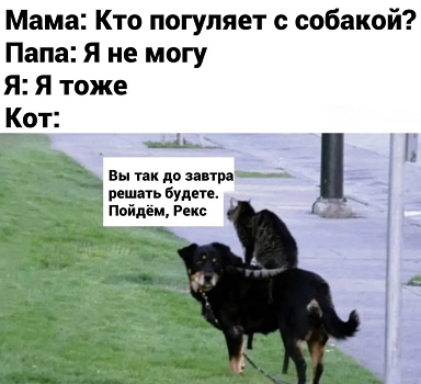 https://i5.imageban.ru/out/2026/05/27/3e2f9d2e56030123c3d6892462c1dec1.png