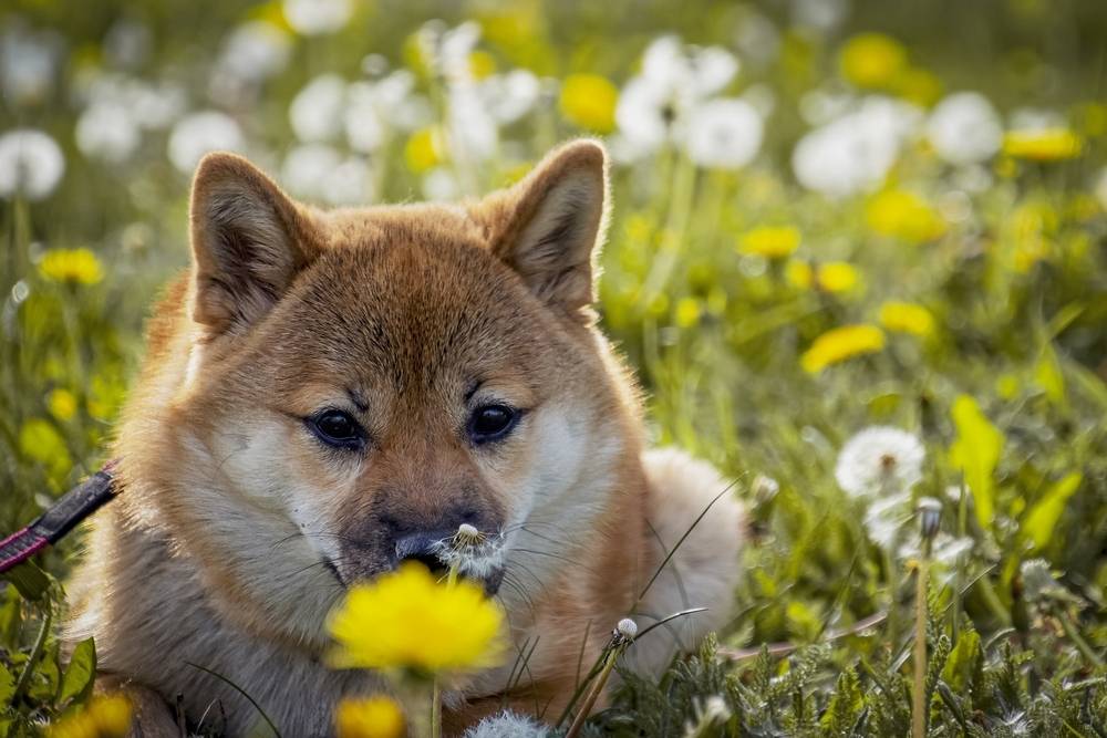 https://i5.imageban.ru/out/2026/05/30/34e895b4564134ae0711c2d45f8f9ba3.jpg
