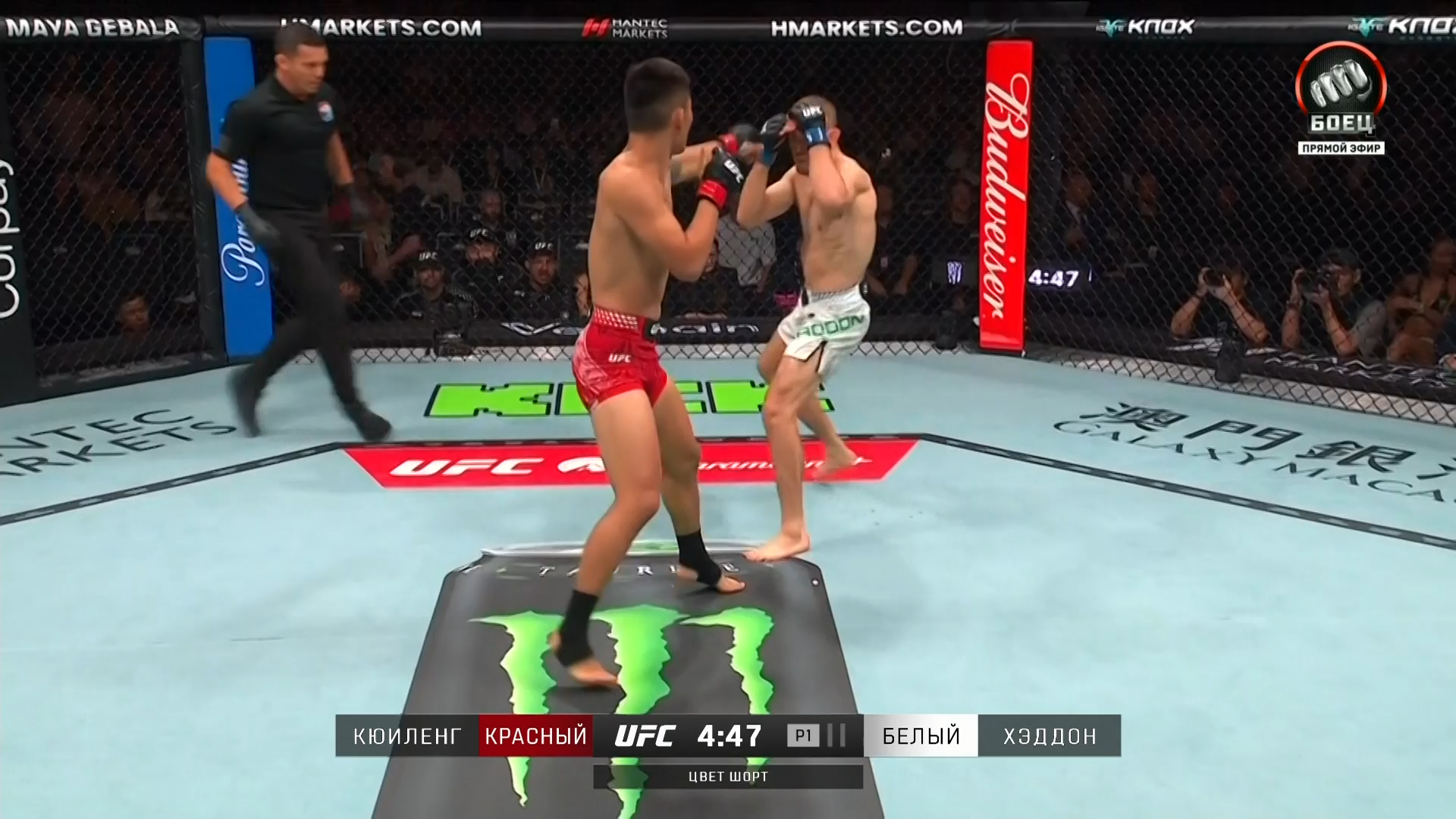 UFC Fight Night 277 Song vs Figueiredo.mkv_snapshot_01.41.24.200.png
