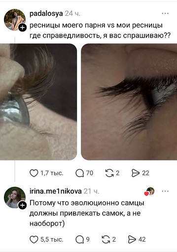 https://i5.imageban.ru/out/2026/06/02/988e25bb1de6d304a9433df728b4f1fc.jpg