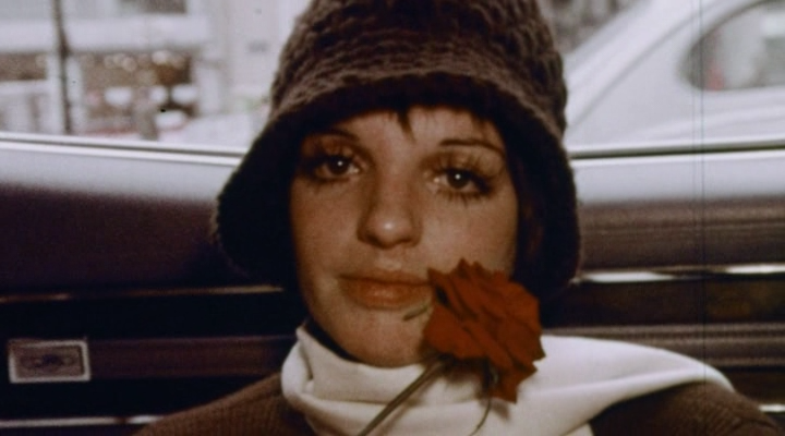 Liza.Truly.Terrific.Absolutely.True.Story.2024.BDRip-ylnian.avi_snapshot_00.02.09.163.png