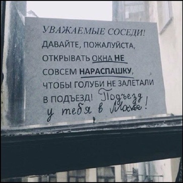 https://i5.imageban.ru/out/2026/06/07/489a7c4b79d41e02d858b24629ba313b.jpg
