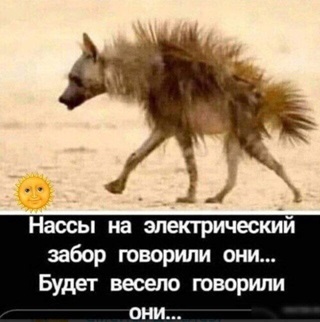 https://i5.imageban.ru/out/2026/06/07/cb91690539ba02927c45812a71f77f81.jpg