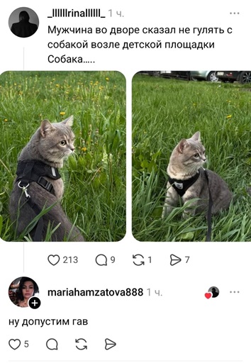 https://i5.imageban.ru/out/2026/06/07/e0f4870f9c94398421762a09e82da79e.jpg