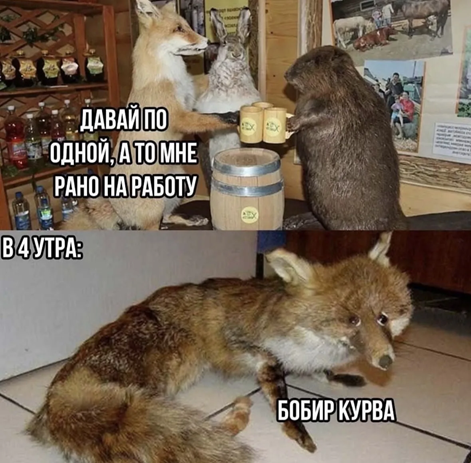 https://i5.imageban.ru/out/2026/06/10/a69a56e614d507d3ca23780298841273.png