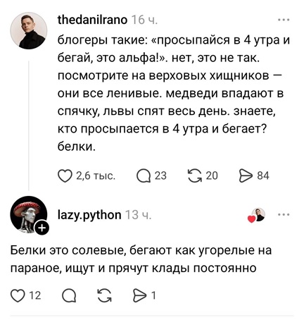 https://i5.imageban.ru/out/2026/06/11/022f5466e1c22ab70787f00c6c510076.jpg