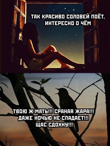 https://i5.imageban.ru/out/2026/06/13/5128c90e6fdfd860c7bd850cdd32b312.jpg