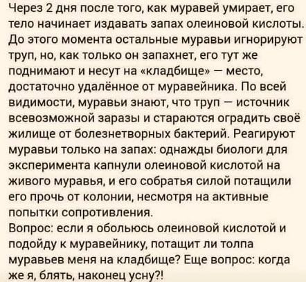 https://i5.imageban.ru/out/2026/06/15/0ae57a8c0ea66e5ced907d4e3b65f653.jpg