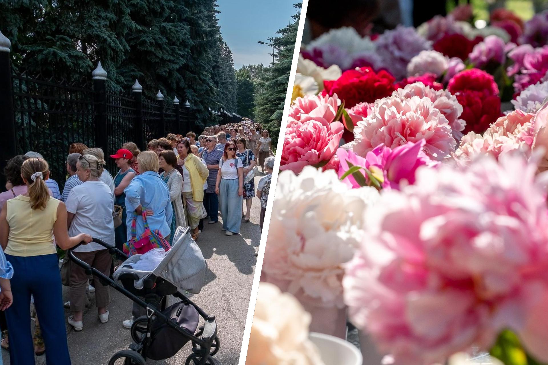 В Перми открылась выставка пионов: тысячи цветов и длинные очереди